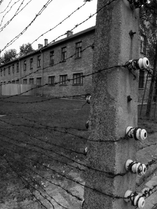 Figure 2: Fence details at Auschwitz.